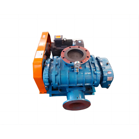 Ụkpụrụ ọrụ nke mgbọrọgwụ Vacuum Pump
