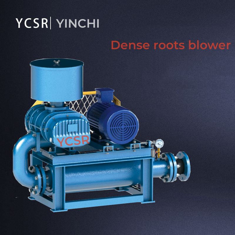 Oke Ụdị Mgbọrọgwụ Vacuum Pump