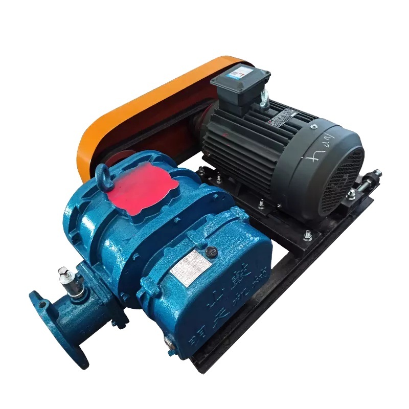 Ọsọ mkpọtụ dị ala atọ Lobe Rotor Roots Vacuum Pump