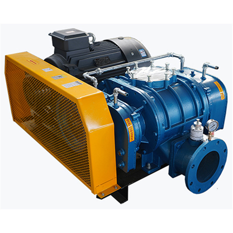 Pneumatic na-ebufe Mgbọrọgwụ Blower Vacuum Pump